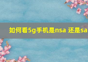 如何看5g手机是nsa 还是sa